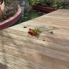 NewDeck composiet vlonderplanken 244 x 20 cm