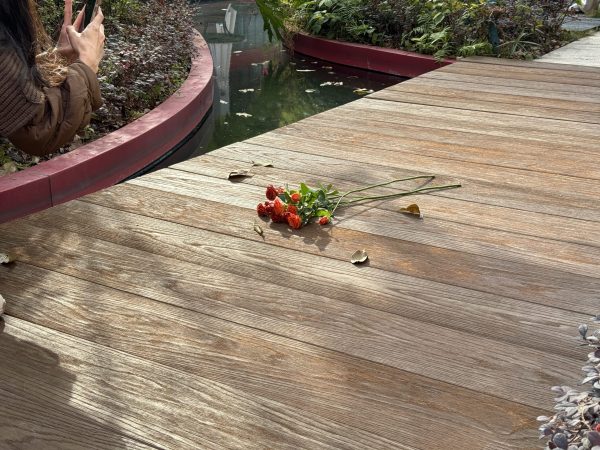 NewDeck composiet vlonderplanken 244 x 20 cm